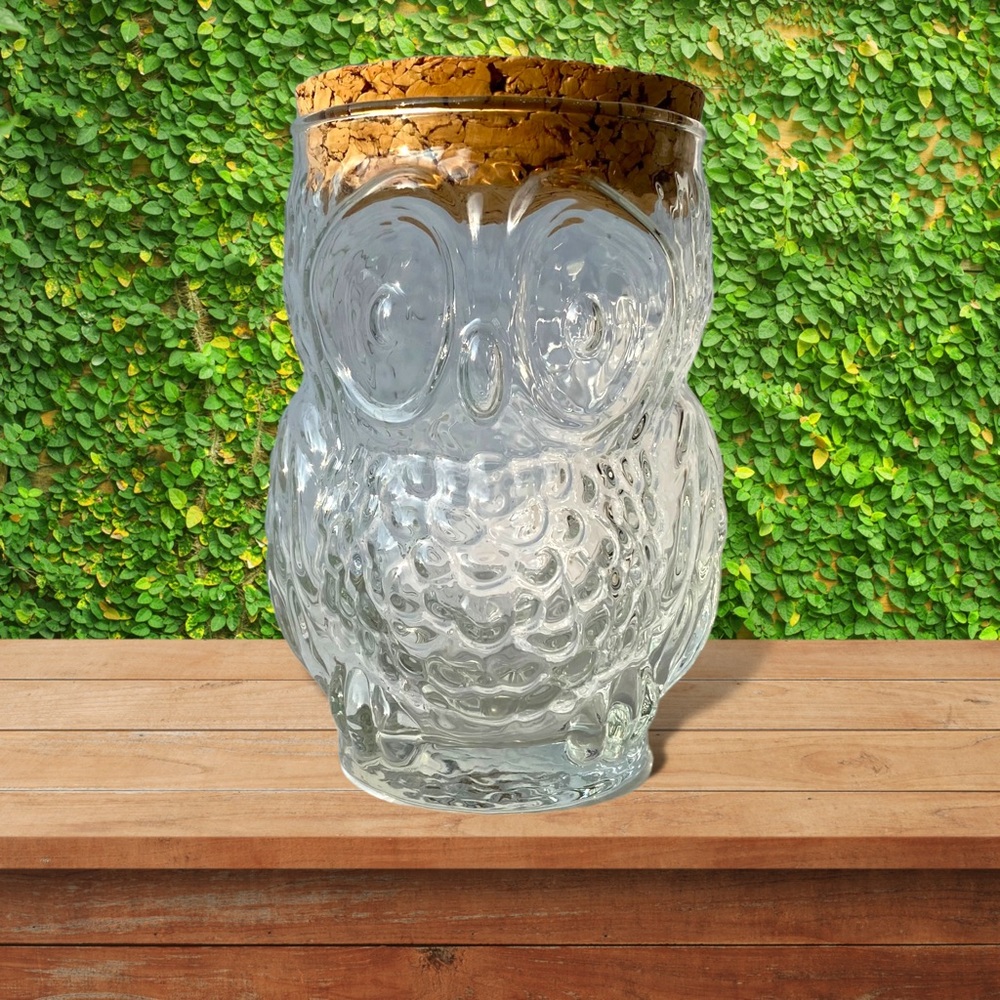 Vintage Glass Owl Jar with Cork Lid Collectable Mid Century Home Decor Storage